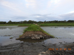 DSCN5931.JPG