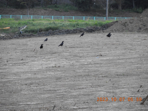 DSCN5934.JPG