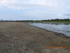 DSCN5935.JPG