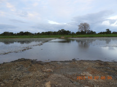 DSCN5936.JPG