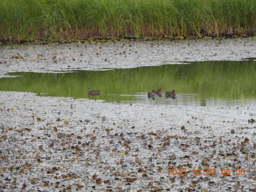 DSCN5939.JPG