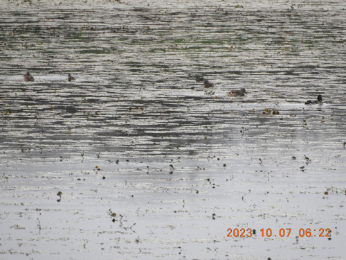 DSCN5954.JPG