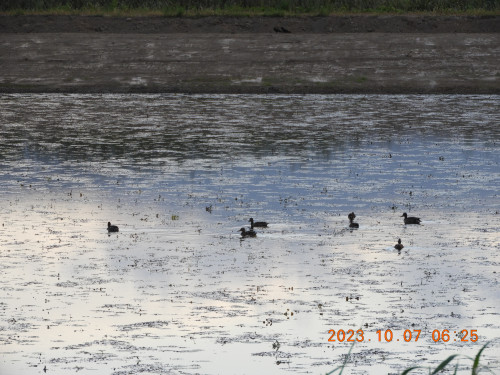DSCN5955.JPG