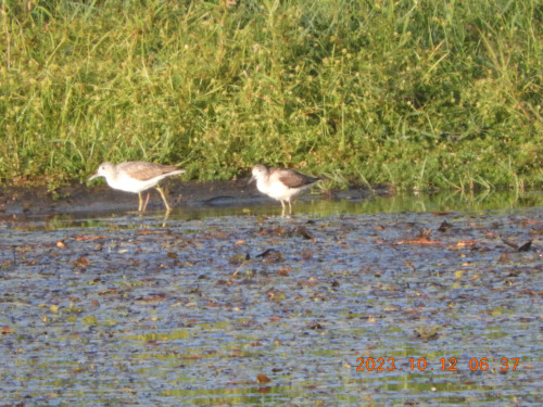 DSCN6008.JPG