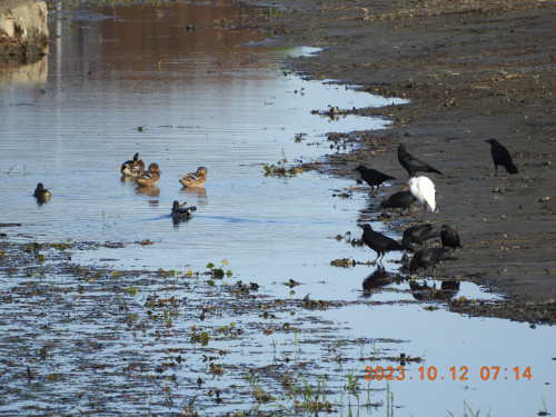 DSCN6048.JPG