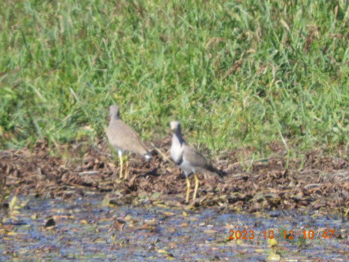 DSCN6060.JPG