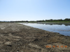 DSCN6064.JPG