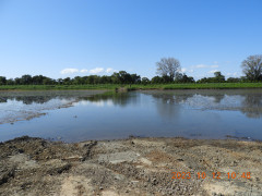 DSCN6065.JPG