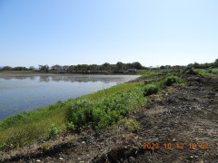 DSCN6069.JPG