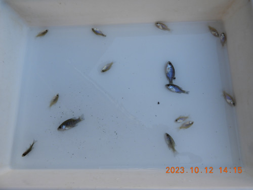 DSCN6081.JPG