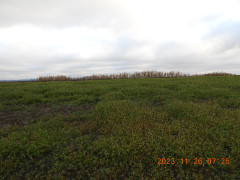 DSCN6845.JPG
