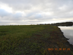 DSCN6846.JPG