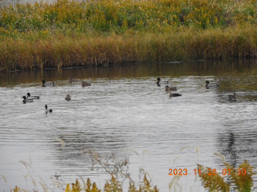 DSCN6850.JPG