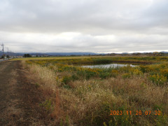 DSCN6851.JPG
