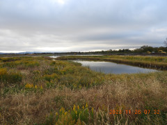 DSCN6852.JPG
