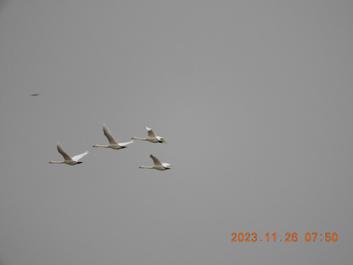 DSCN6865.JPG