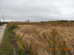 DSCN6869.JPG