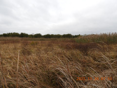 DSCN6870.JPG