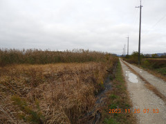 DSCN6871.JPG