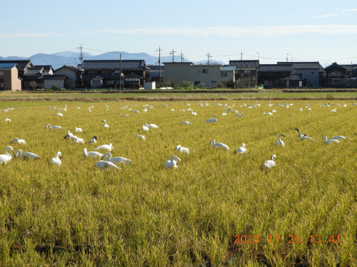DSCN6876.JPG
