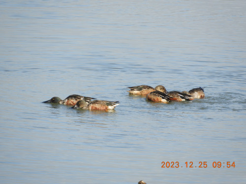 DSCN0168.JPG