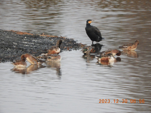 DSCN0172.JPG