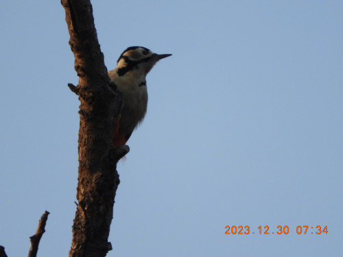 DSCN0204.JPG