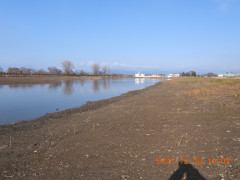 DSCN0222.JPG