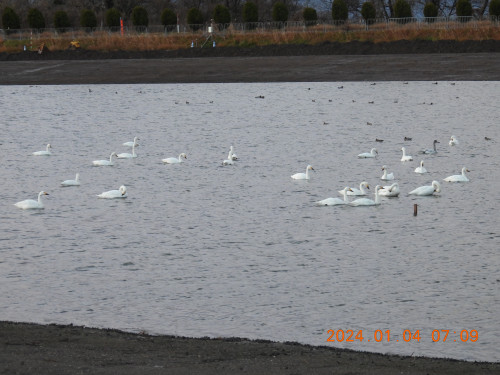 DSCN0322.JPG