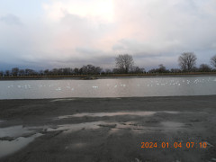DSCN0324.JPG