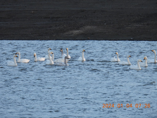 DSCN0328.JPG