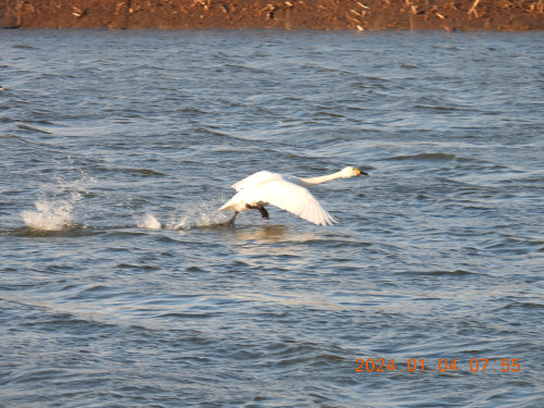 DSCN0330.JPG