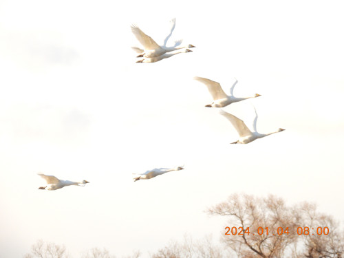 DSCN0369.JPG