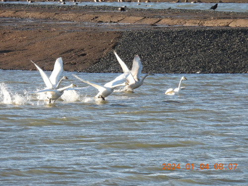 DSCN0442.JPG