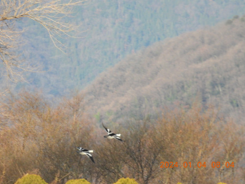 DSCN0433.JPG