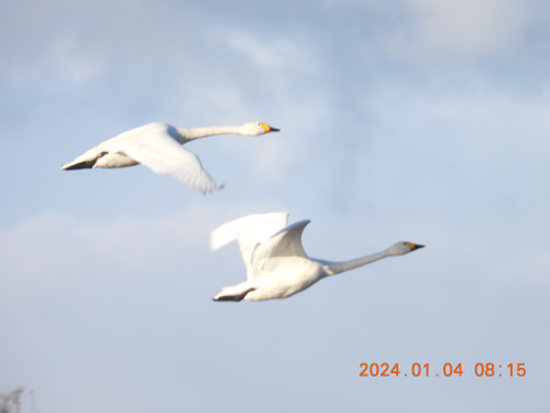 DSCN0465.JPG