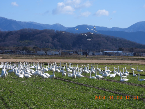 DSCN0521.JPG