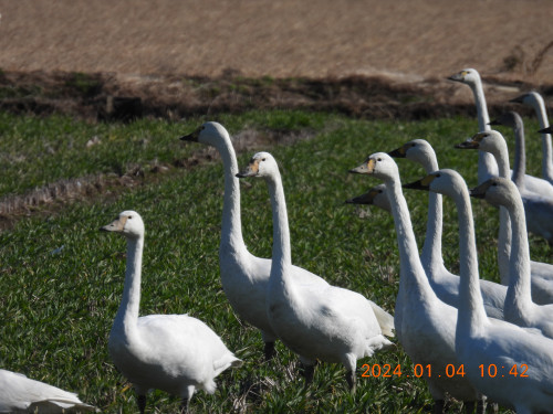 DSCN0523.JPG