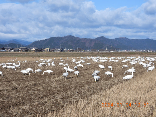 DSCN0527.JPG