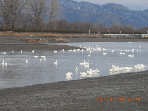 DSCN7006.JPG