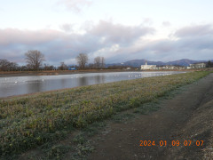 DSCN7013.JPG