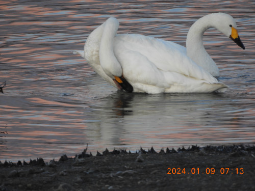 DSCN7020.JPG