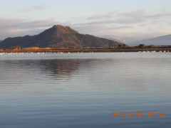 DSCN7041.JPG