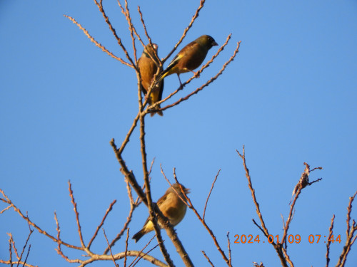 DSCN7047.JPG