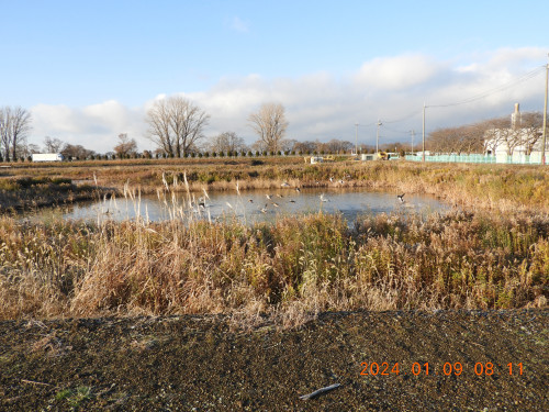 DSCN7053.JPG