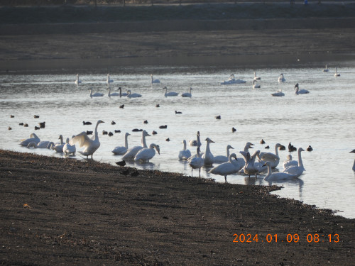 DSCN7060.JPG