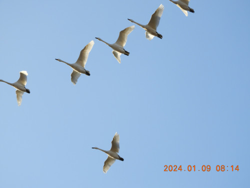 DSCN7062.JPG
