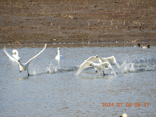 DSCN7116.JPG