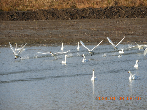 DSCN7121.JPG