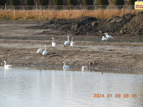 DSCN7129.JPG